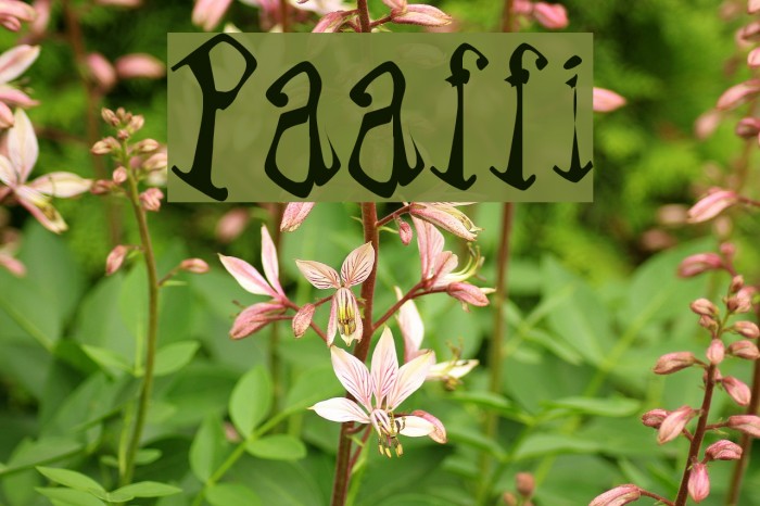 Paraffin Font examples