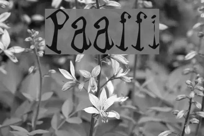 Paraffin Font examples