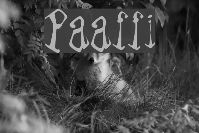 Paraffin Font examples