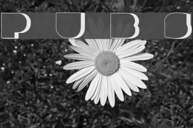 Parafuse Ultra Black Shadow フォント examples