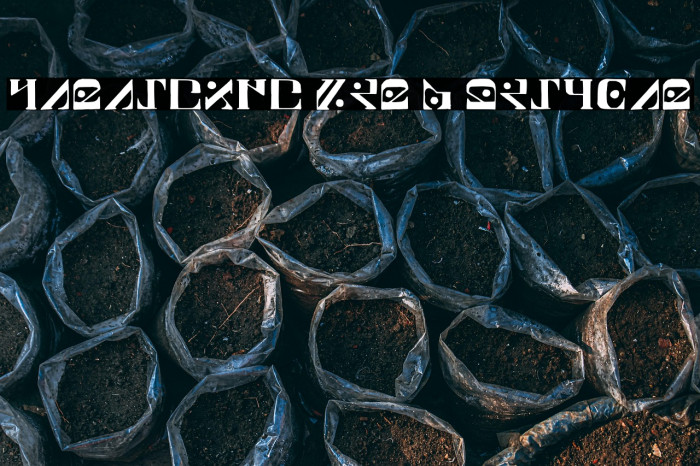 Paraghyph Ver 1 Regular Example 1