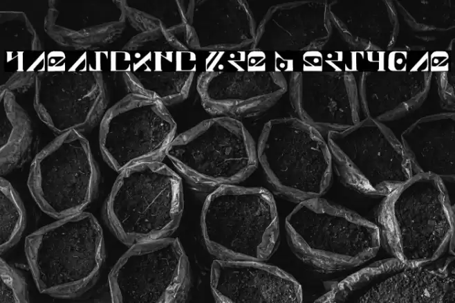 Paraghyph Ver 1 Regular Font examples