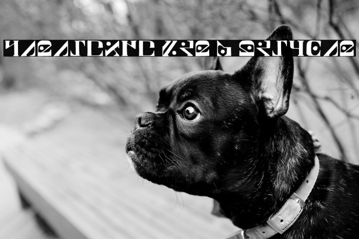 Paraghyph Ver 1 Regular Example 2