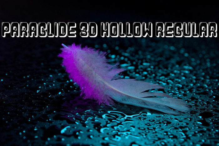 Paraglide 3D Hollow Regular Example 3