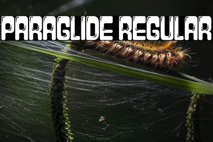 Paraglide Regular Example 3