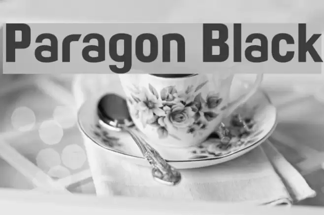 Paragon Black Font examples