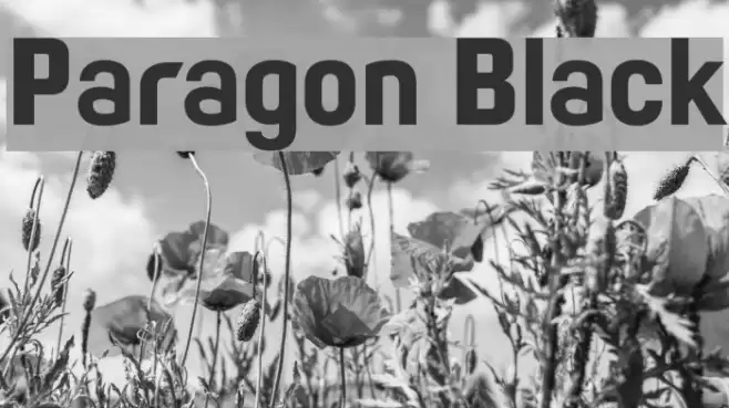 Paragon Black Font examples