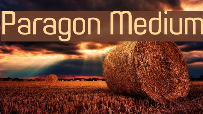 Paragon Medium Font examples