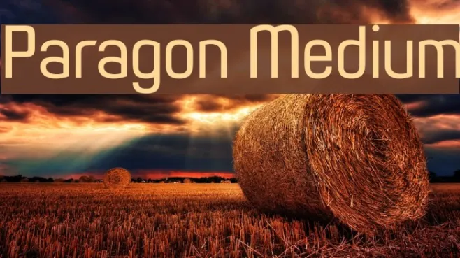 Paragon Medium Example 2