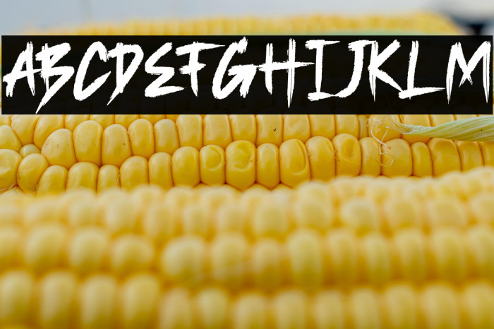 Parakan Brush Example 1