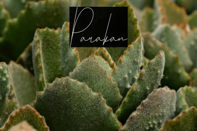 Parakan Example 1