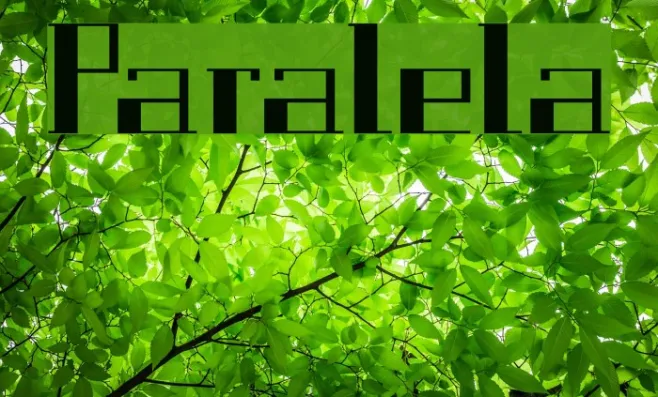 Paralela Example 1