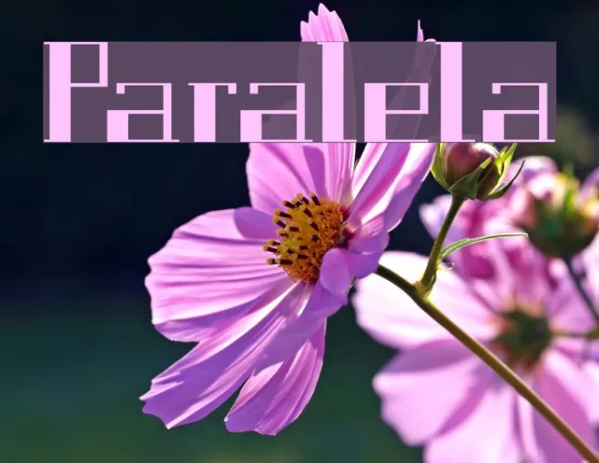 Paralela Example 3