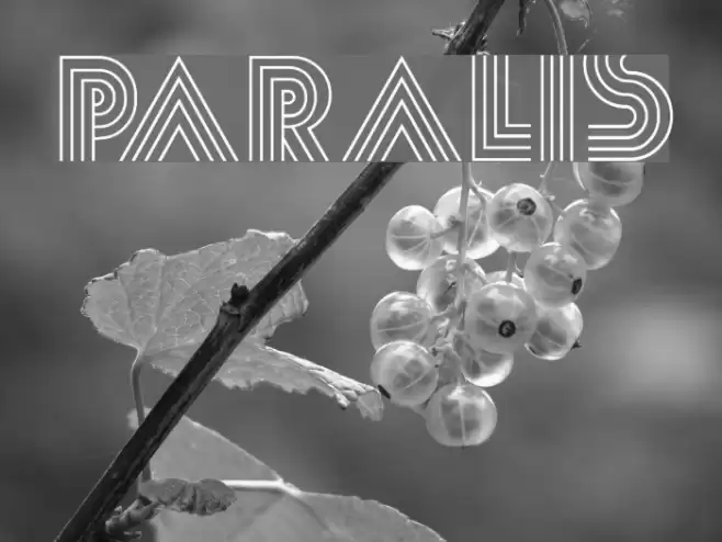 Paralis Font examples
