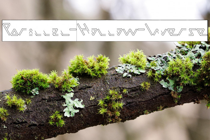 Parallel-Hollow-Inverse Example 3