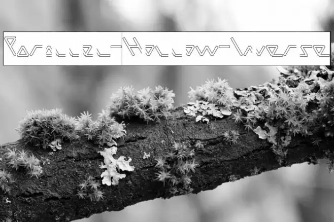 Parallel-Hollow-Inverse Font examples
