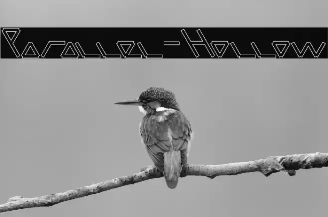 Parallel-Hollow Font examples