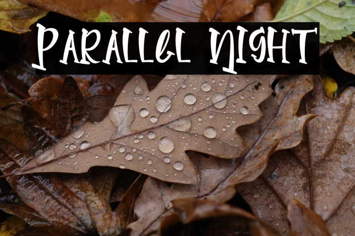 Parallel Night Example 2