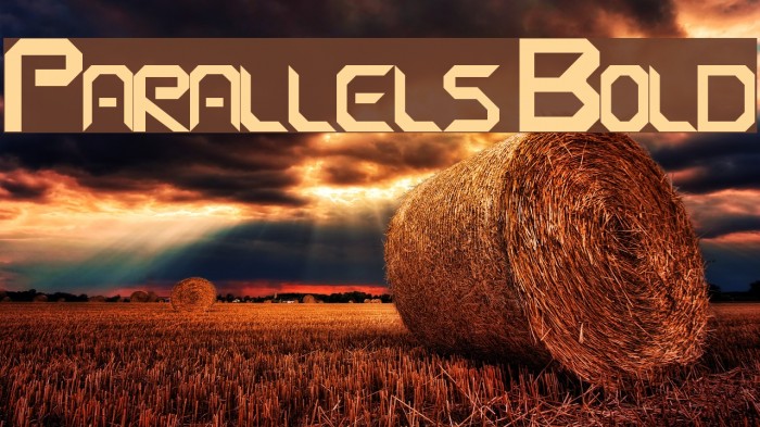 Parallels Bold Example 1