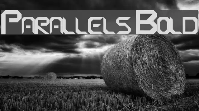 Parallels Bold Font examples