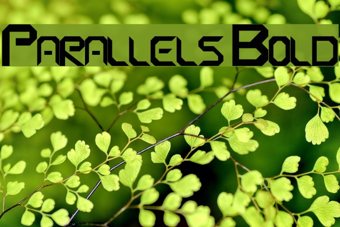 Parallels Bold Example 2