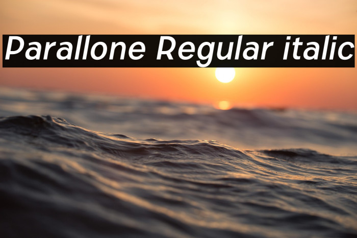 Parallone Regular italic Example 1