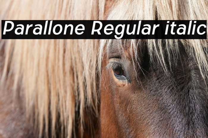 Parallone Regular italic Example 2