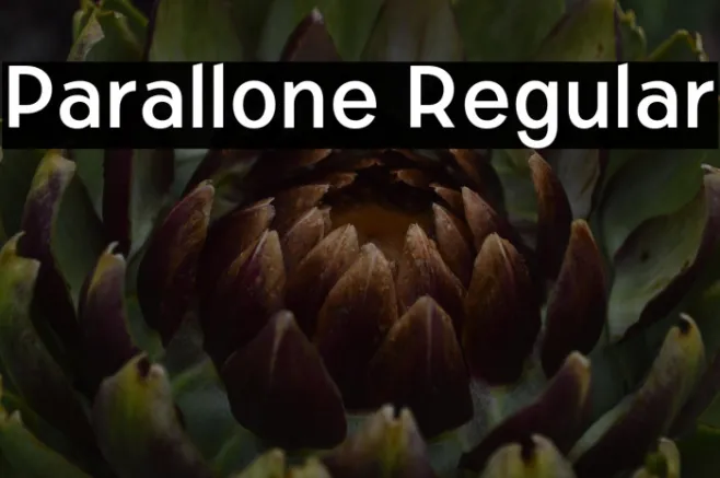 Parallone Regular Example 2