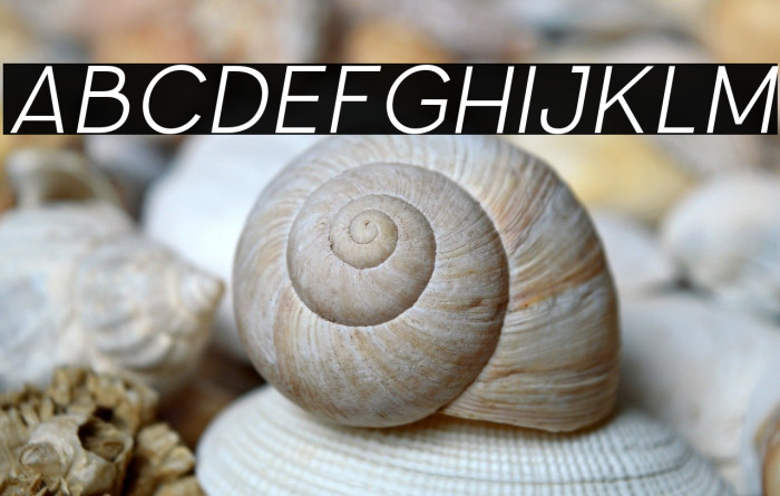 Parallone Thin italic Example 2