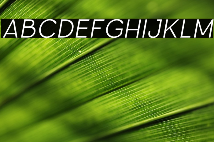 Parallone Thin italic Example 3