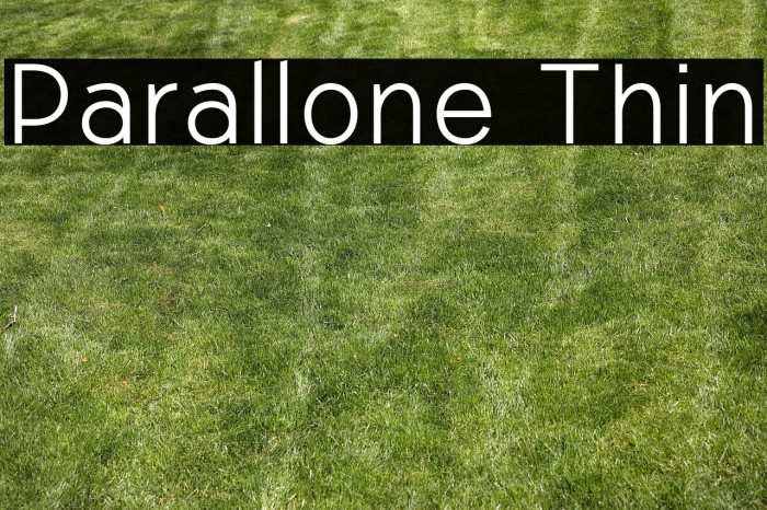 Parallone Thin Example 3