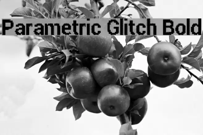 Parametric Glitch Bold Font examples