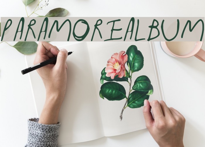 ParamoreAlbum Example 2