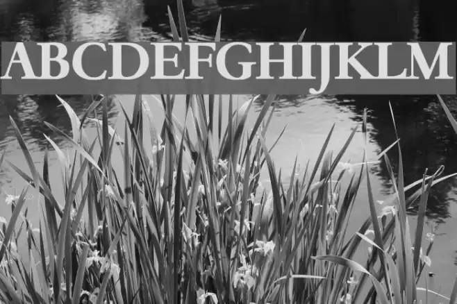 Paramount Bold Font examples