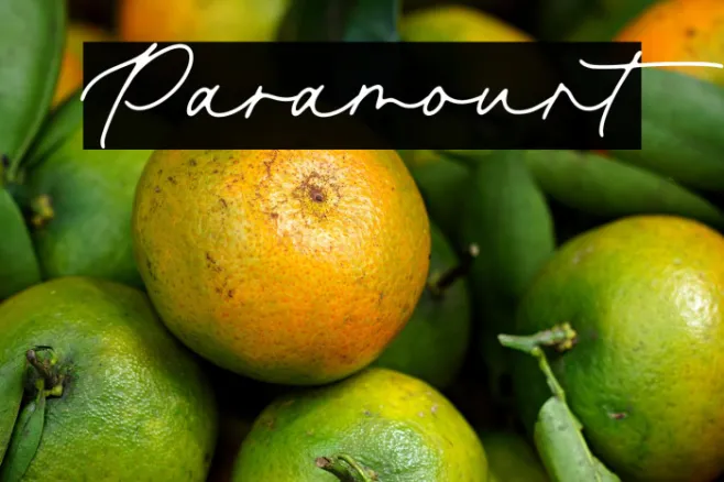Paramount Example 3