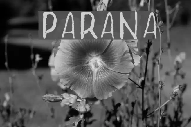 Parana Font examples