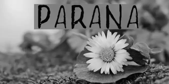 Parana Font examples