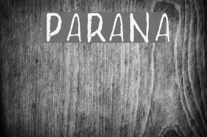 Parana Font examples