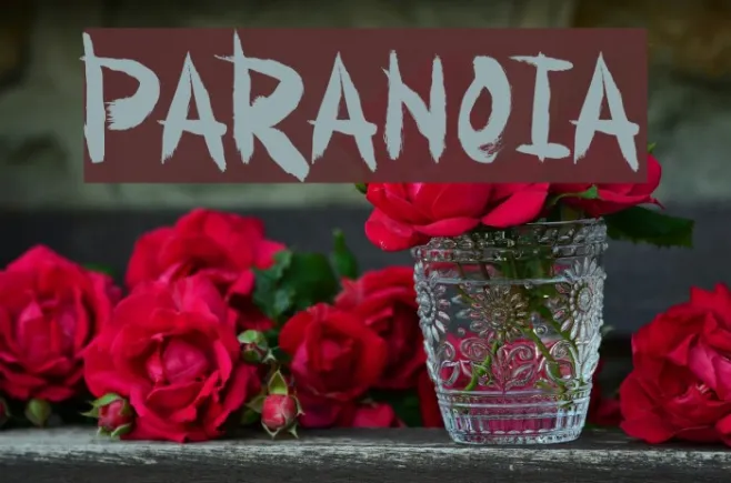 Paranoia Example 1