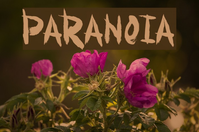 Paranoia Font examples