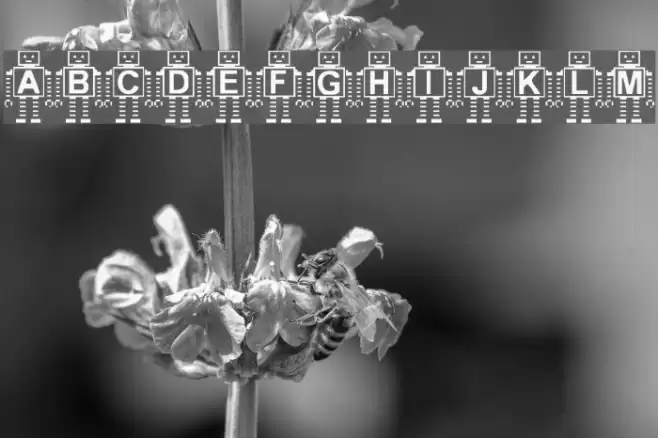 Paranoid Android Polices examples