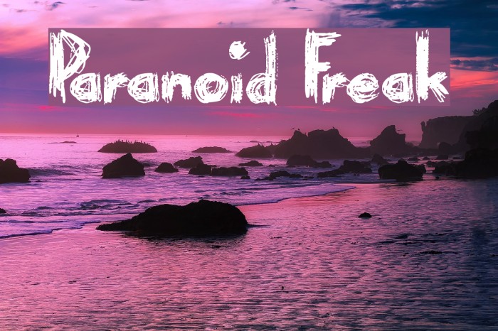 Paranoid Freak Font examples