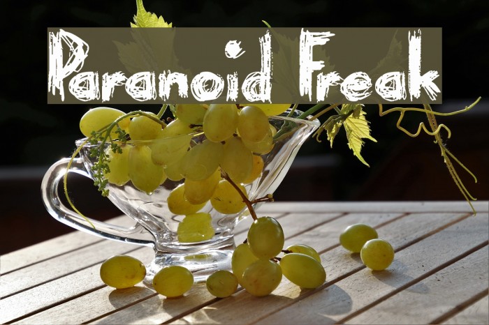 Paranoid Freak Font examples