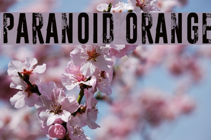 Paranoid Orange Font examples