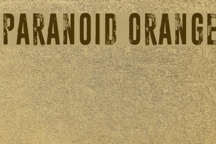 Paranoid Orange Font examples