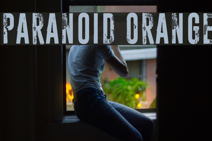 Paranoid Orange Font examples