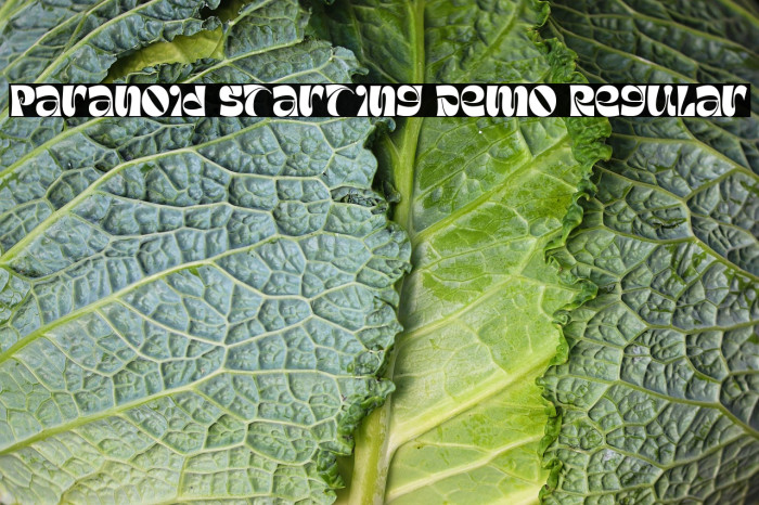 Paranoid Starting Demo Regular Example 1