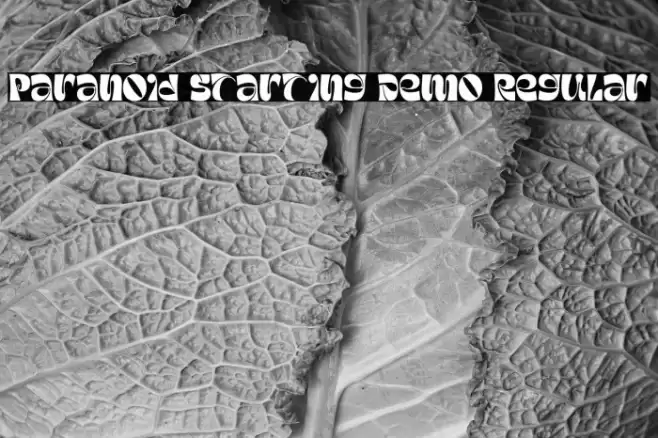 Paranoid Starting Demo Regular Font examples