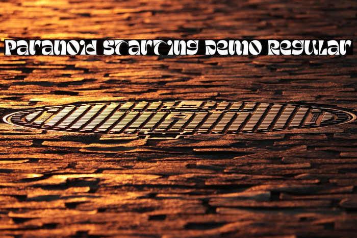 Paranoid Starting Demo Regular Example 3