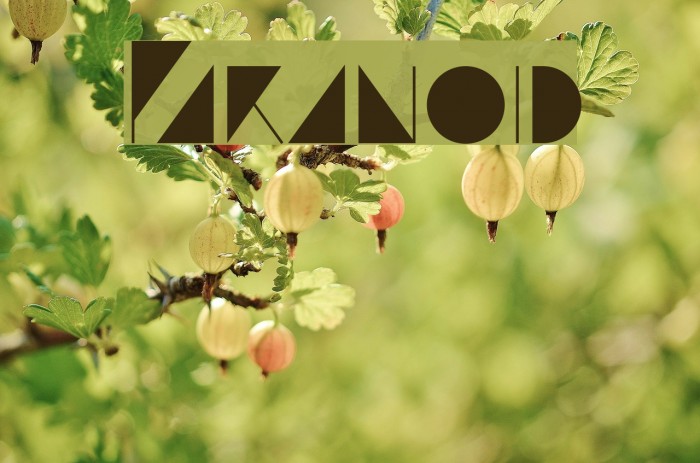 Paranoid Font examples